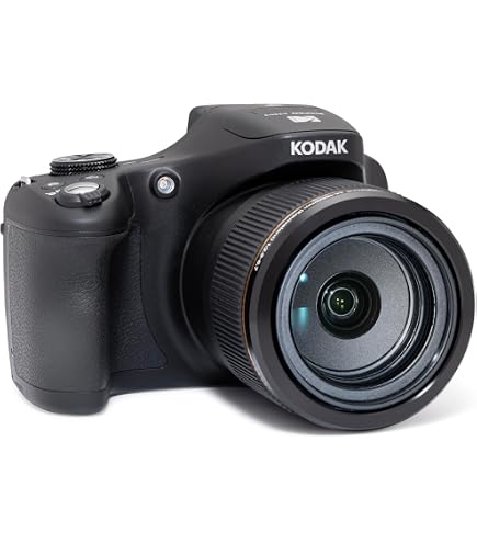 Amazon.com : Panasonic LUMIX DMC-FZ70 16.1 MP Digital Camera with
